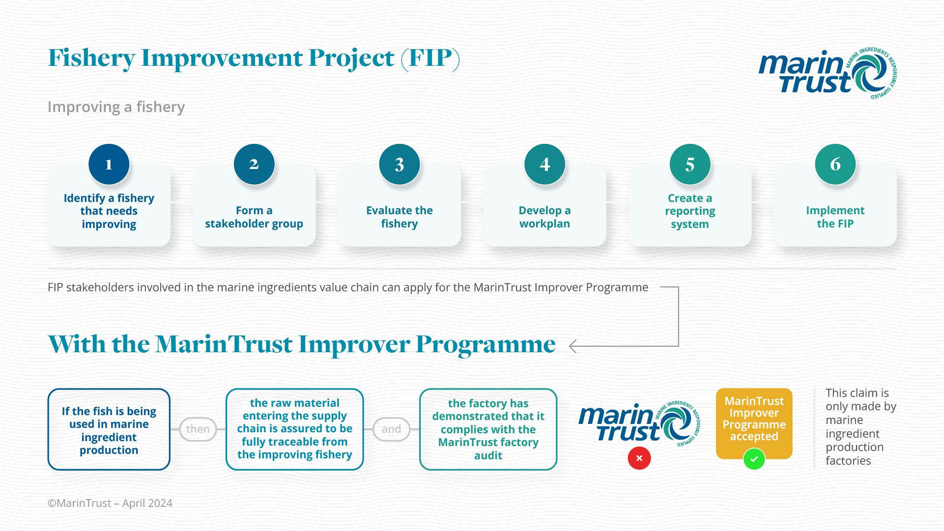 FIP and Improver Programme